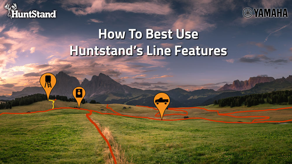 terrastride inc. internship - e-blast web graphic